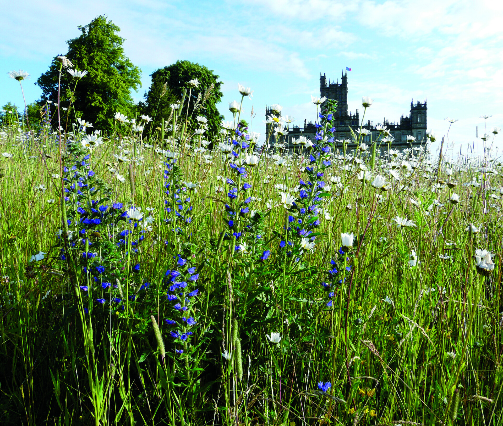Estate & Conservation