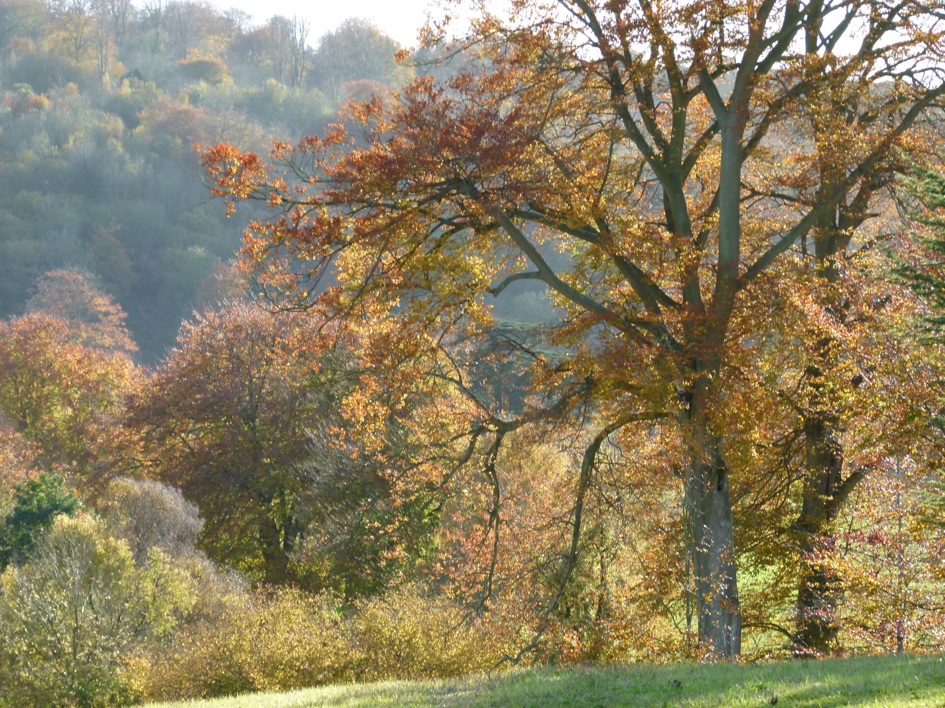 Highclere Castle photo