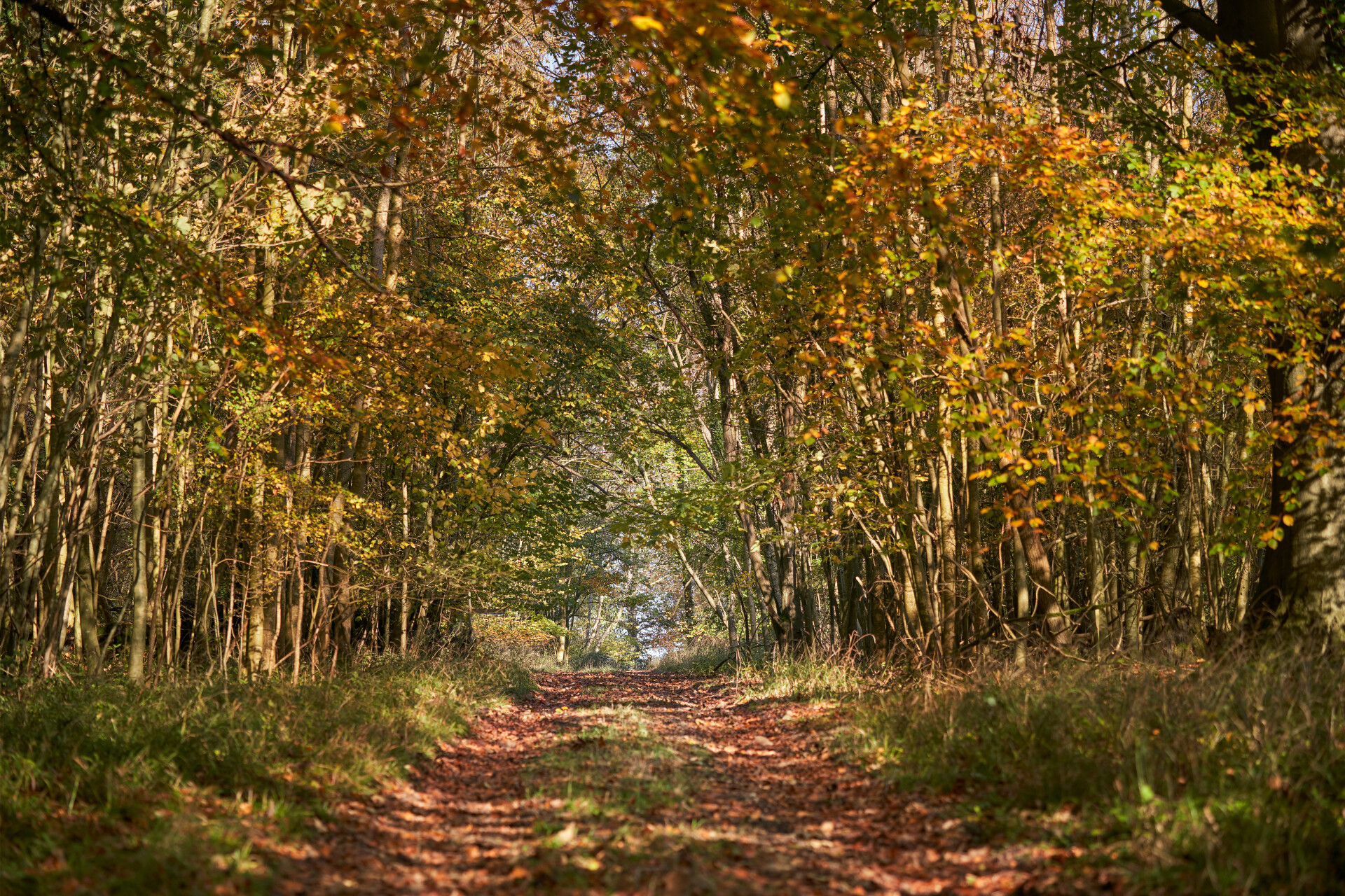 Highclere Castle photo